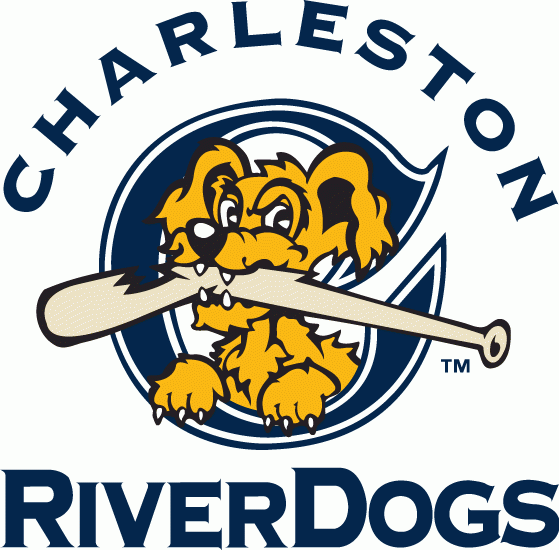 Charleston Riverdogs 2011-2015 Primary Logo decal supplier